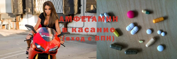 гашик Алексин