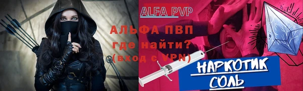 гашик Алексин