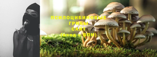 экстази Алексеевка