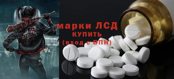 гашик Алексин