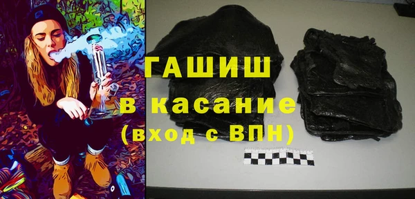 гашик Алексин