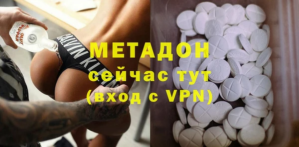 гашик Алексин