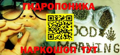 прущие крисы Анжеро-Судженск