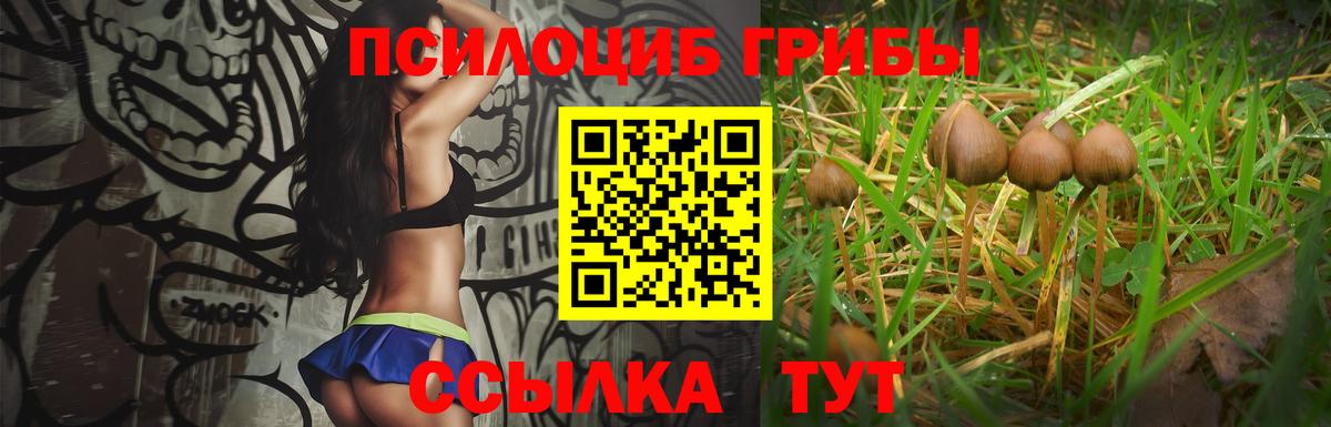 Галлюциногенные грибы Psilocybe  Вход с VPN  Краснокамск  Псилоцибиновые грибы мицелий 